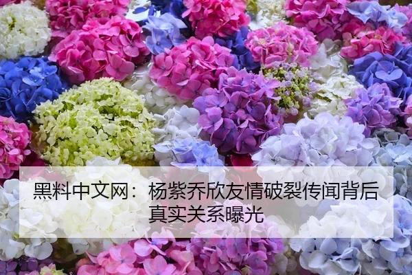 黑料中文网：杨紫乔欣友情破裂传闻背后真实关系曝光
