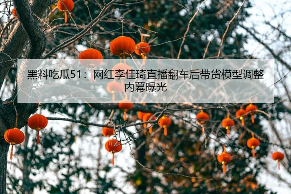 hei-liao-chi-gua-wang-hong-li-jia-qi-zhi-bo-fan-che-hou-dai-huo-mo-xing-tiao-zheng-nei-mu-bao-guang-2-206.jpg